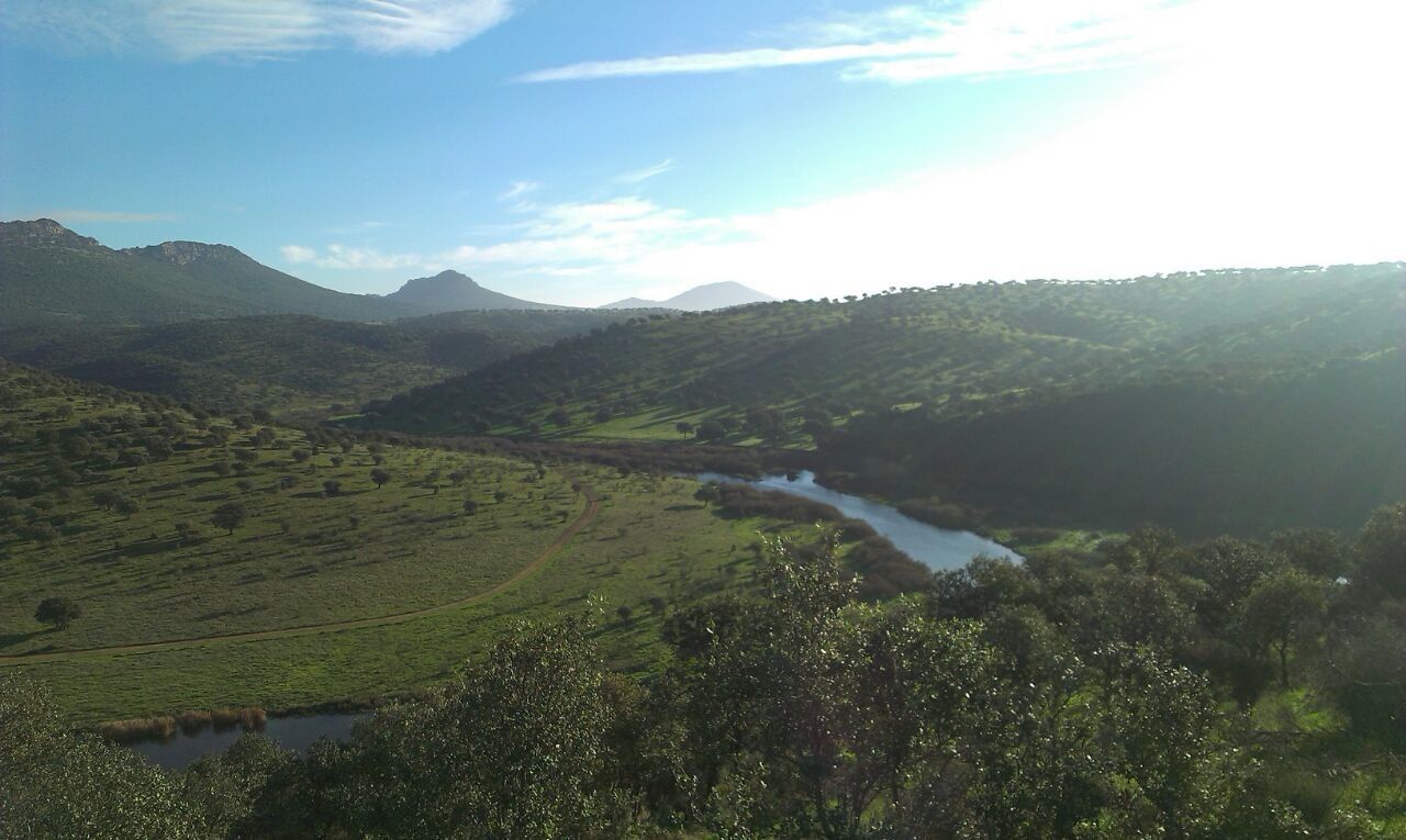 Dehesa de Castilseras. Vista desde la Peña del gato.