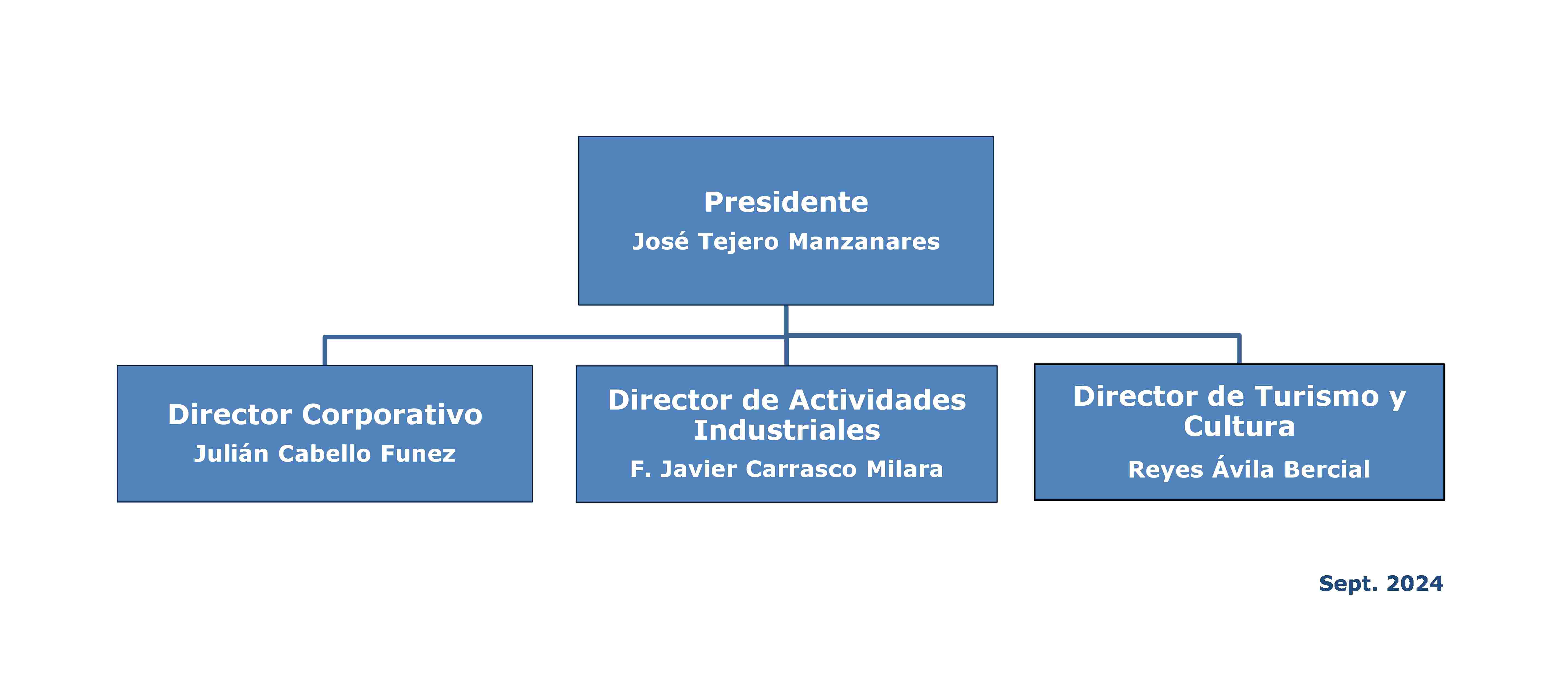 Esquema descriptivo de la organización